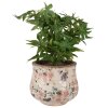 Clayre & Eef 6CE1612M Vaso per fiori da interno Beige Rosa Ø 18x15 cm