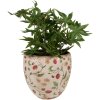 Clayre & Eef 6CE1634L Vaso per interni Beige Rosso Ø 18x18 cm