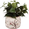 Clayre & Eef 6CE1642L Vaso da fiori per interni Beige Brown Ø 20x15 cm