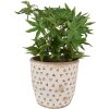 Clayre & Eef 6CE1652L Vaso da fiori per interni Beige Nero Ø 16x16 cm