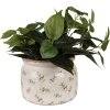 Clayre & Eef 6CE1670L Vaso da fiori per interni Beige Ø 20x15 cm