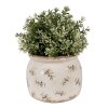 Clayre & Eef 6CE1670M Vaso da fiori per interni Beige Ø 16x13 cm