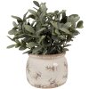 Clayre & Eef 6CE1670S Vaso da fiori per interni Beige Ø 12x10 cm
