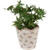 Clayre & Eef 6CE1672L Vaso per fiori da interno Beige Ø 19x18 cm