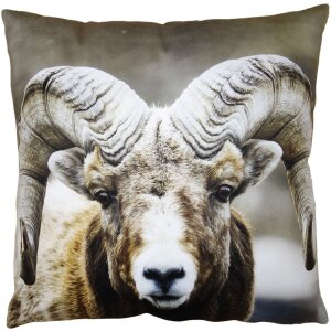 Clayre & Eef KT021.335 Copricuscino marrone 45x45 cm