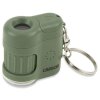 Microscopio tascabile Carson MicroMini 20x verde