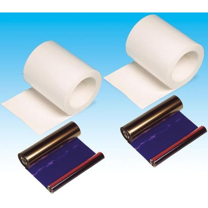 DNP Paper DM4640 2 rotoli 400 pezzi 10x15 per DS40