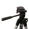 Treppiede Nest + testa WT-3560 H167 cm
