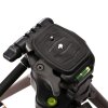 Treppiede Nest + testa WT-3530 H147 cm