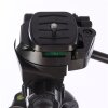 Treppiede Nest + testa WT-3540 H157 cm