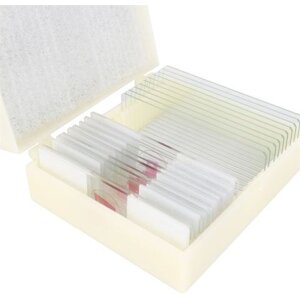 Cone Preparateset Corpo umano 25 pezzi Microscopia...