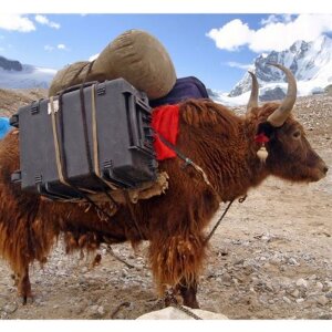 Explorer Cases 2712HL.B Valigia da trasporto con schiuma nera 276x200x120 mm