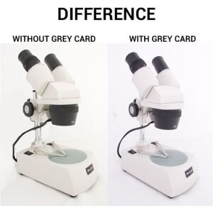Carte grigie Falcon Eyes 1x A5, 1x 10x15 + CD di istruzioni