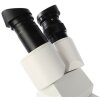 Byomic Stereo Microscope BYO-ST2 - Microscopio di qualità per principianti