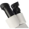 Microscopio stereo Byomic BYO-ST3 - Strumento professionale da laboratorio