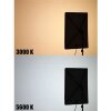 Falcon Eyes RX-18SBHC III Softbox a nido dape per RX-18TDX III