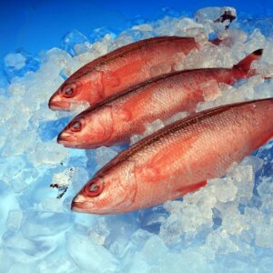 Carta di fondo Falcon Eyes 80x100 cm a colori sfumati, set di 7 pezzi