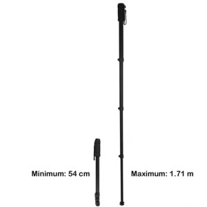 Monopiede Nest WT-1003 H171 cm