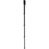 Monopiede Nest WT-1003 H171 cm
