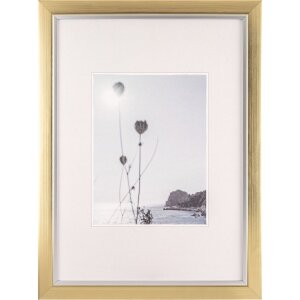 Walther cornice Beyond 29,7x42 cm champagne-oro DIN A3...