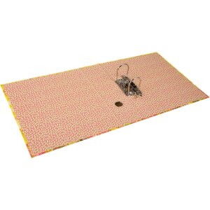 Cartella Goldbuch motivo Akira 5 cm dorso meccanismo a 2 anelli