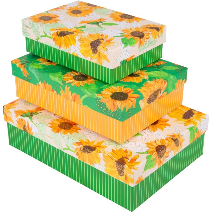 Set di scatole di cartone Goldbuch Girasole 3 scatole di cartone