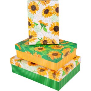 Set di scatole di cartone Goldbuch Girasole 3 scatole di...