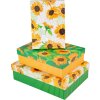 Set di scatole di cartone Goldbuch Girasole 3 scatole di cartone