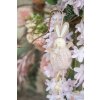 Clayre & Eef 65346 Decorazione Ciondolo Coniglio 7x4x15 cm Rosa