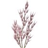 Clayre & Eef 5PL0058 Decorazione Ramo 6x6x72 cm Rosa