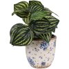 Clayre & Eef 6CE1658XS Decorazione vaso da fiori Ø 11x10 cm Beige Blu