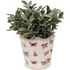 Clayre & Eef 6CE1664S Vaso da fiori Ø13x12 cm Beige Rosa Ceramica Farfalla