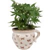 Clayre & Eef 6CE1665L Decorazione vaso di fiori 20x17x15 cm Beige Rosa