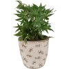 Clayre & Eef 6CE1669L Vaso da fiori Beige Ø 16x16 cm Ramo dulivo in ceramica vintage
