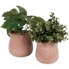 Clayre & Eef 6CE1714P Vaso da fiori rosa Ø 16x15 cm in ceramica con bordo ondulato