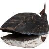 Clayre & Eef 6H2349 Balena decorativa 36x15x23 cm Nero Bianco