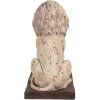 Clayre & Eef 6MG0043 Decorazione Leone Barocco Beige 30x23x45 cm
