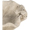 Clayre & Eef 6TE0501 Mangiatoia per uccelli Beige Ø 22x6 cm