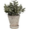 Clayre & Eef 6TE0503L Vaso da fiori beige Ø 13x14 cm