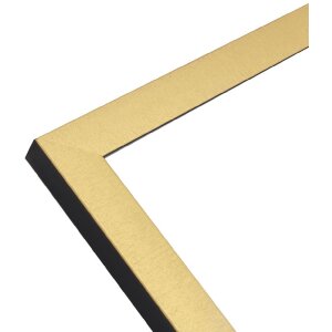 Cornice Deknudt S47EB2 oro con bordo nero 18x24cm