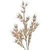 Clayre & Eef 5PL0061 Ramo decorativo Beige aspetto naturale 15x2x72 cm