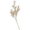 Clayre & Eef 5PL0061 Ramo decorativo Beige aspetto naturale 15x2x72 cm