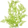 Clayre & Eef 5PL0070 Ramo decorativo verde naturale 15x5x80 cm