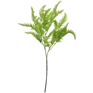 Clayre & Eef 5PL0081 Ramo decorativo di felce artificiale verde 8x4x75 cm
