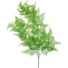 Clayre & Eef 5PL0083 Ramo decorativo verde felce 10x5x80 cm