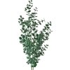 Clayre & Eef 5PL0084 Ramo decorativo verde 8x3x70 cm