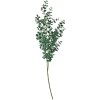 Clayre & Eef 5PL0084 Ramo decorativo verde 8x3x70 cm