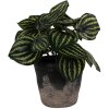 Clayre & Eef 6CE1719S Decorazione Vaso per fiori Ø 12x11 cm Nero Grigio