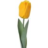 Clayre & Eef 6PL0235 Fiore artificiale Tulipano giallo 6x6x50 cm