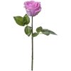 Clayre & Eef 6PL0273 Fiore artificiale viola 8x8x44 cm